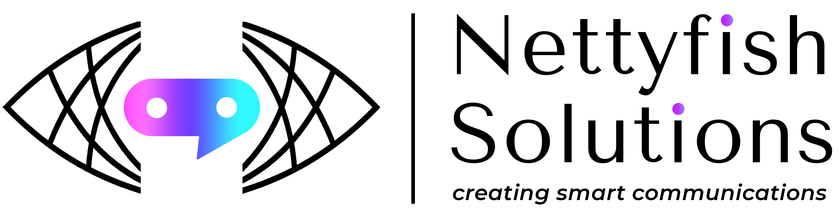 Nettyfish Solutions pvt ltd